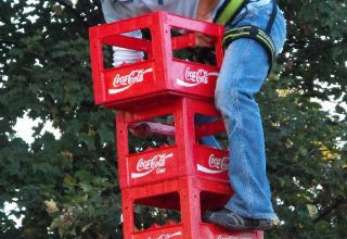 dni świętego michała zdjęcia z konkursu